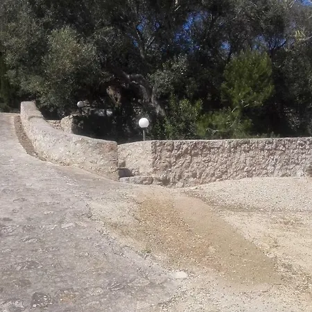 Loretta טריקאסה
